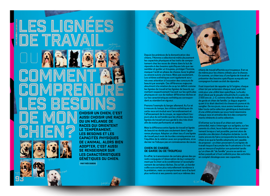 Magazine Bâtard #4