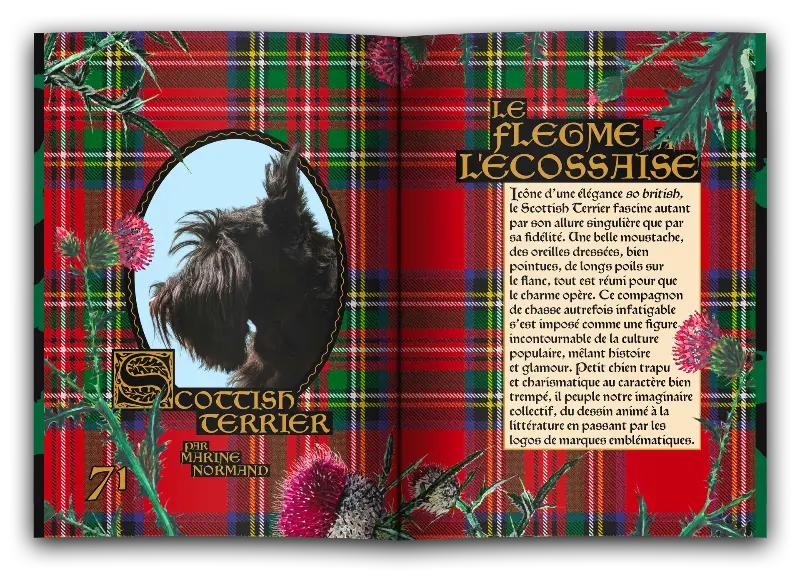 Magazine Bâtard #11