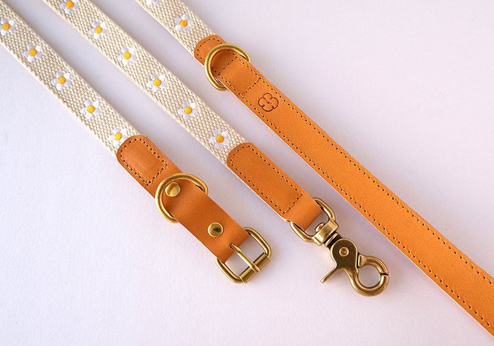 Laisse en cuir Daisy