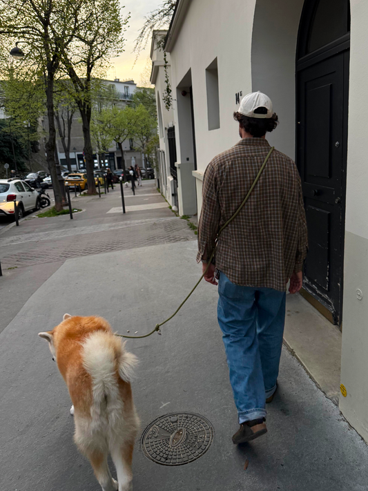 Laisse mains-libres corde Avocado