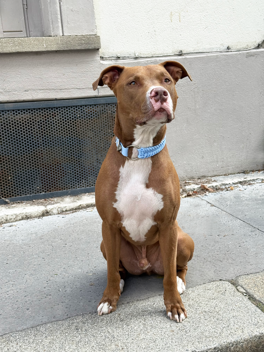 Collier bi-matière Cotton Candy