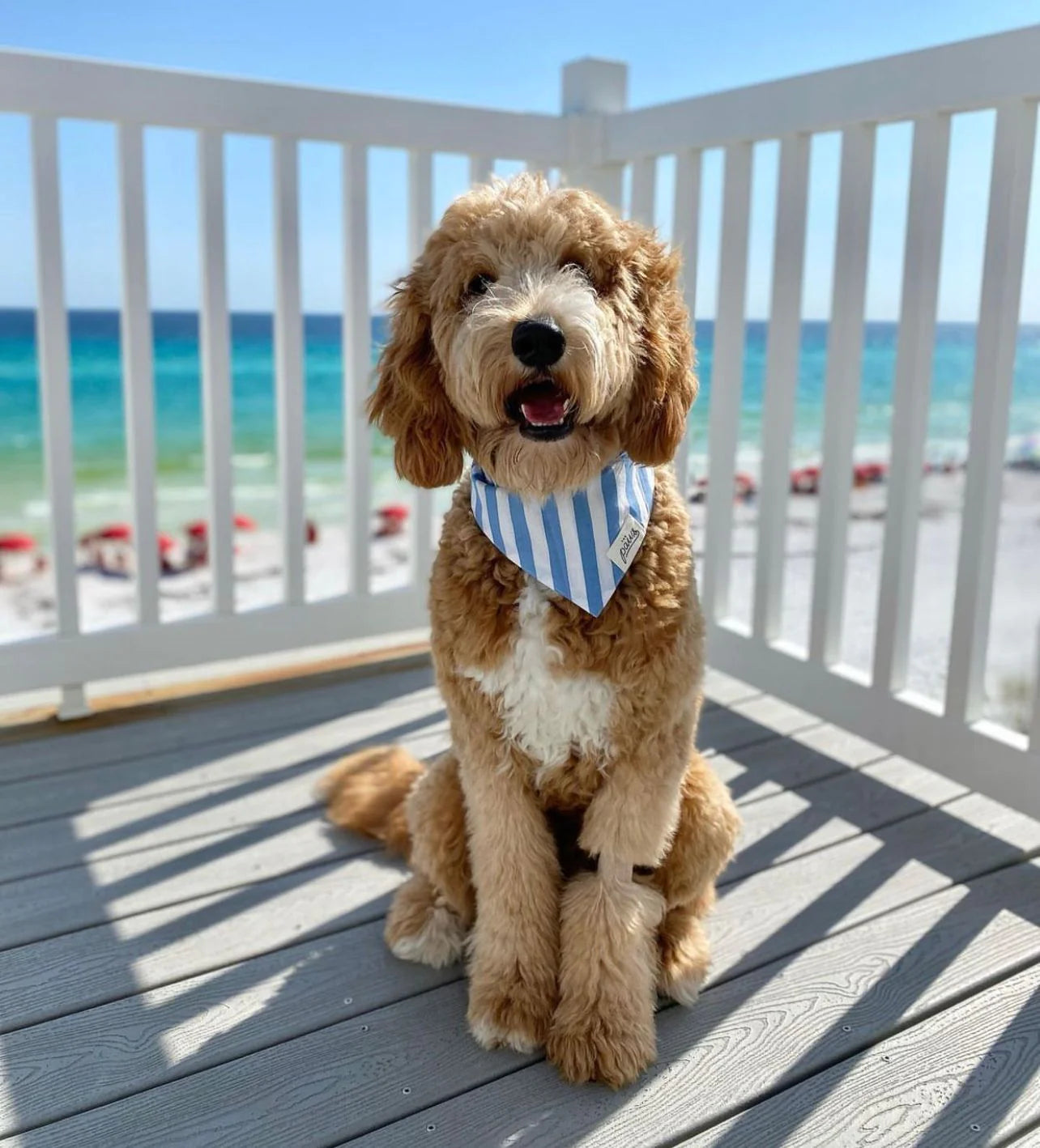 Bandana Cabana Blue Stripes