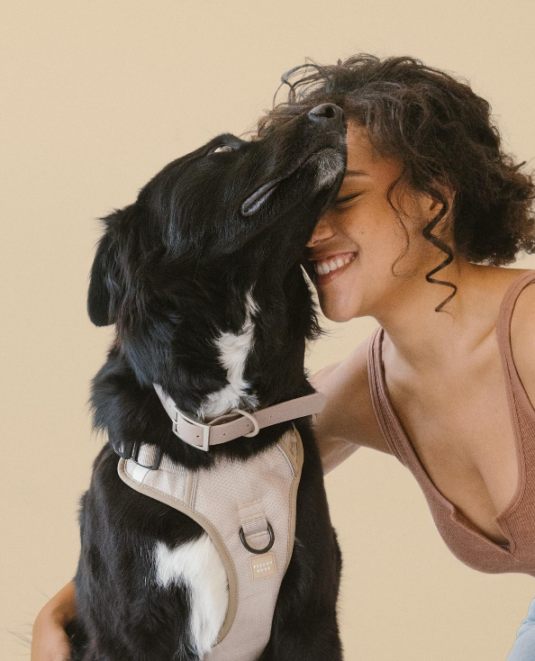 Collier imperméable matcha