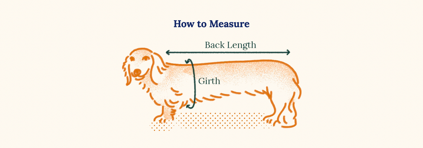 Pull The Strawberry Sweater