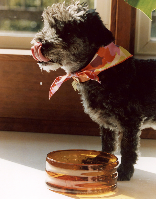Gamelle en borosilicate Ripple