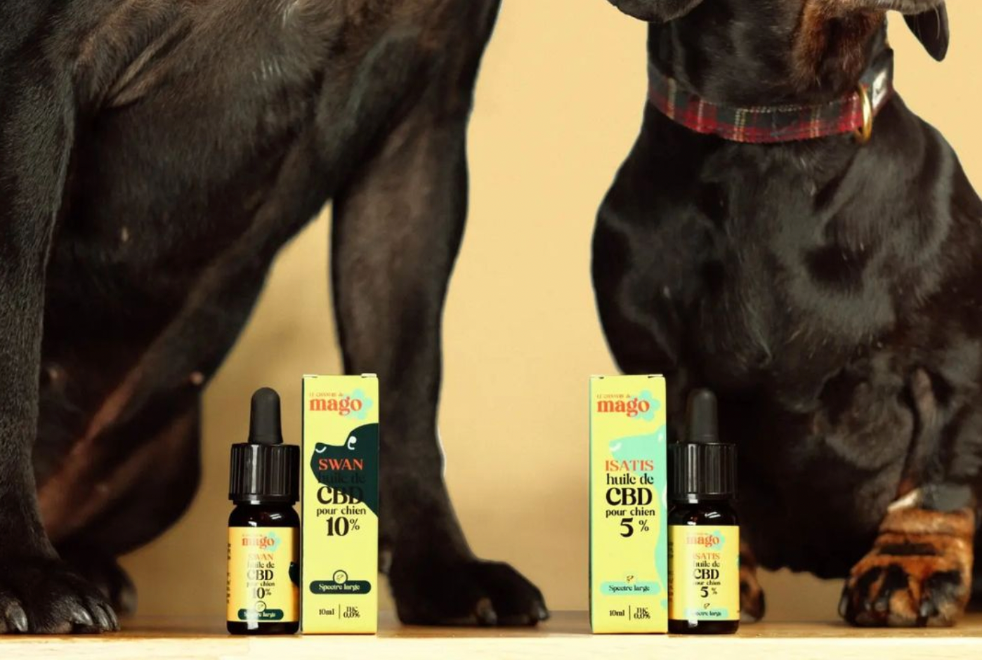 Huile de CBD pour chien Swan 10%