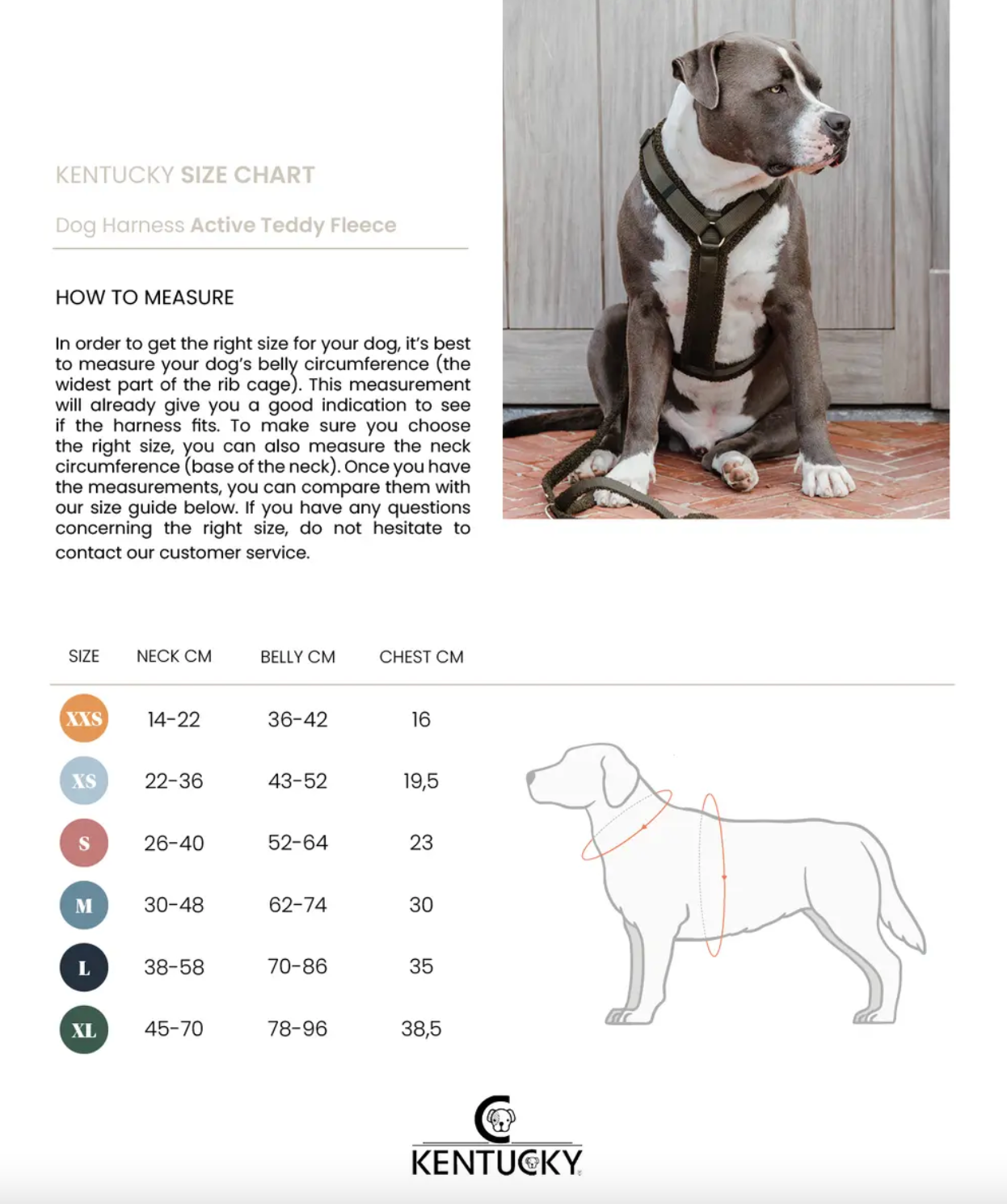 Harnais Actif Teddy Fleece