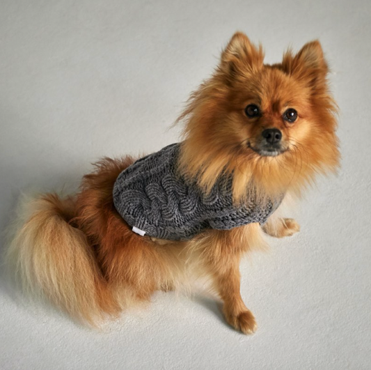 Pull en maille John B