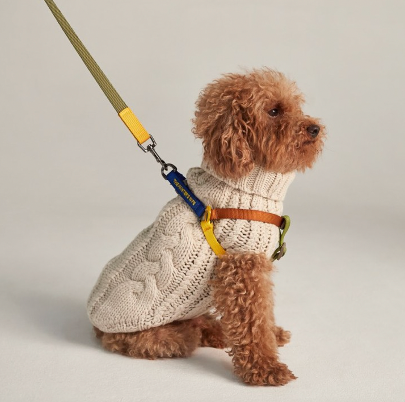 Pull en maille John B