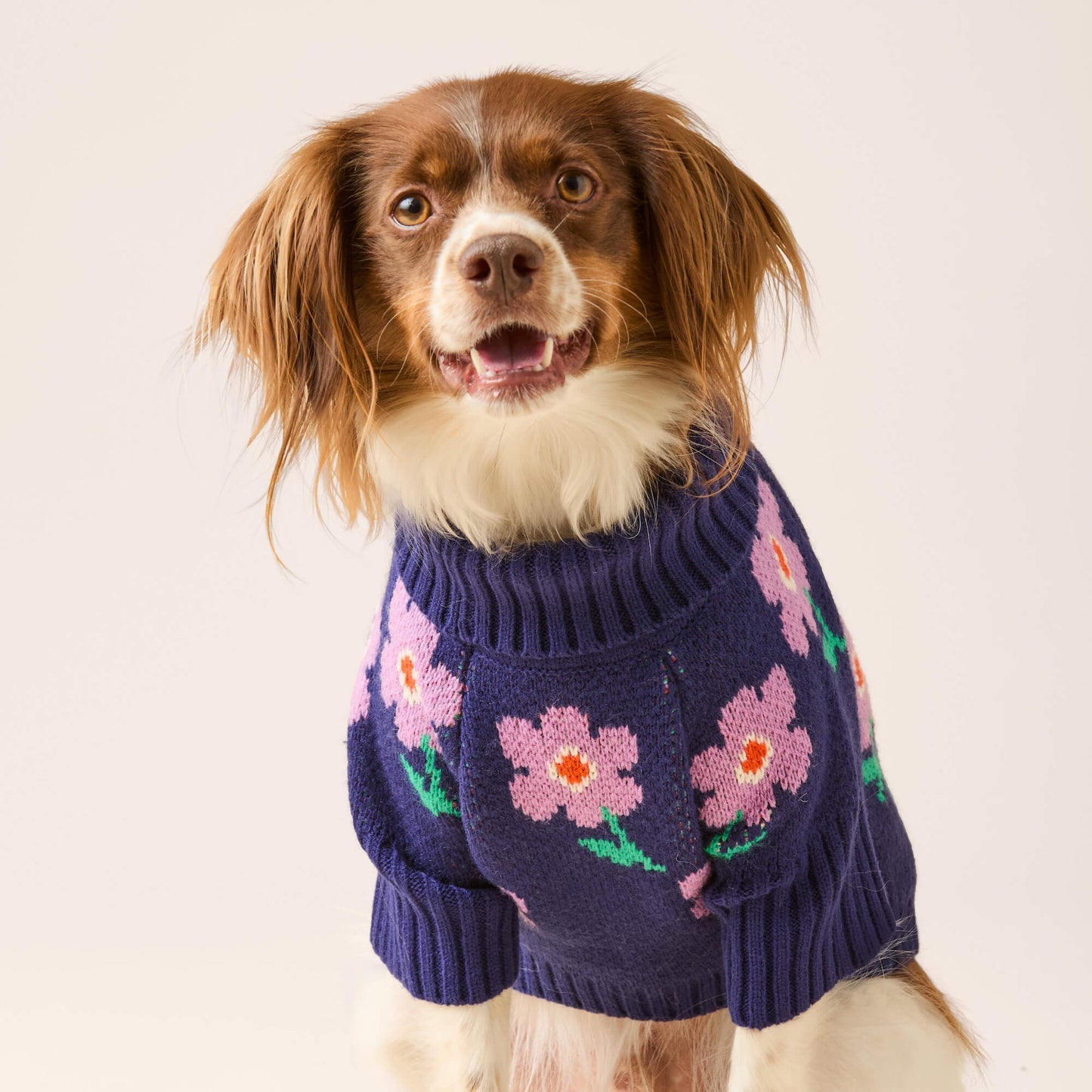 Pull Purple Posies
