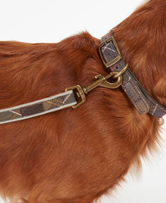 Laisse réfléchissante Barbour Tartan