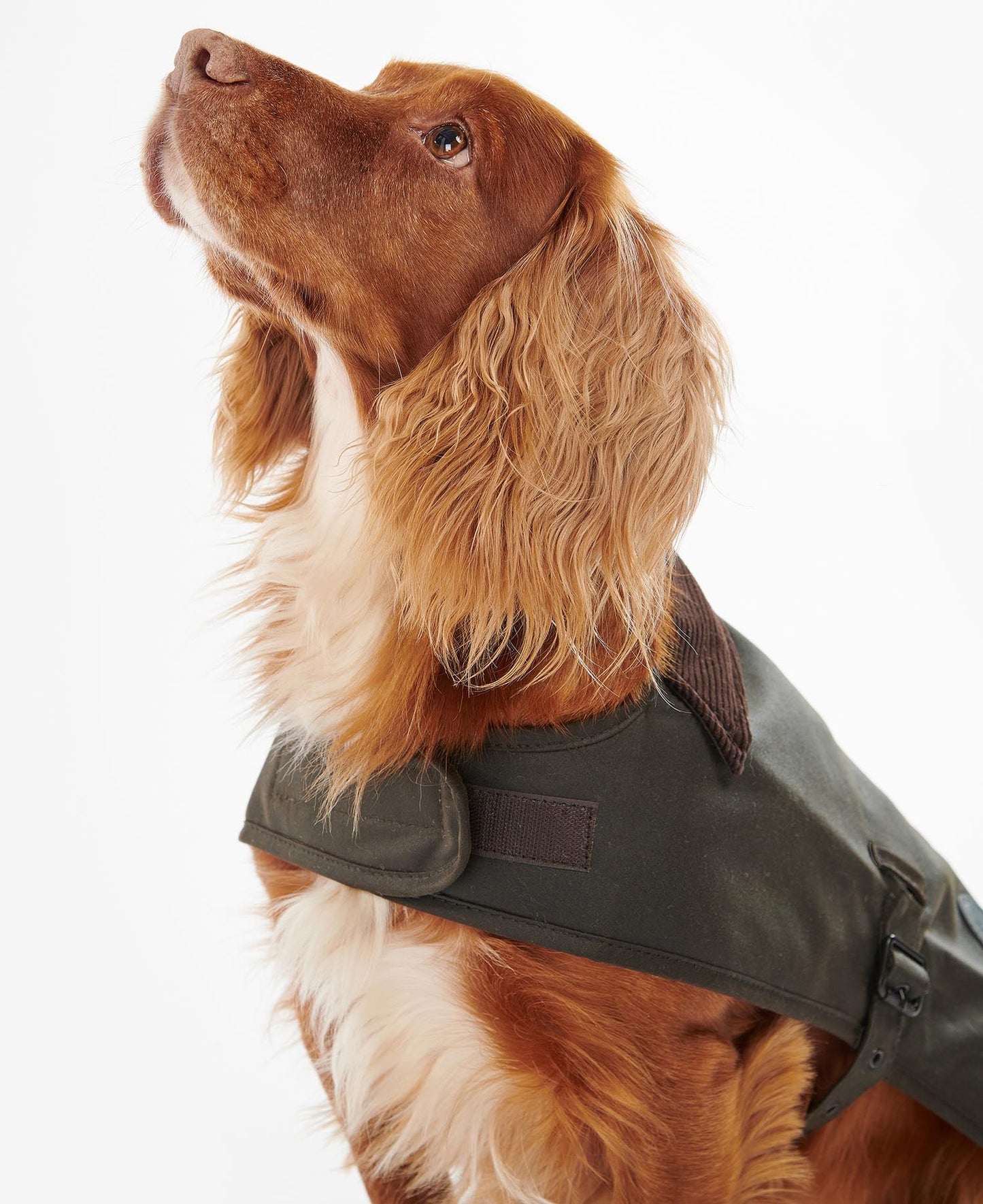 Barbour Manteau Wax Olive