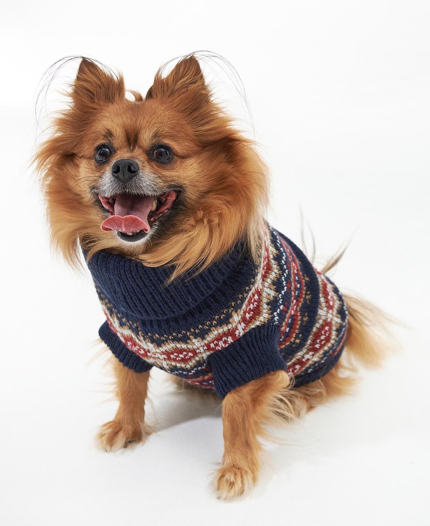 Barbour Pull Case Fair Isle Dog Blue Granite