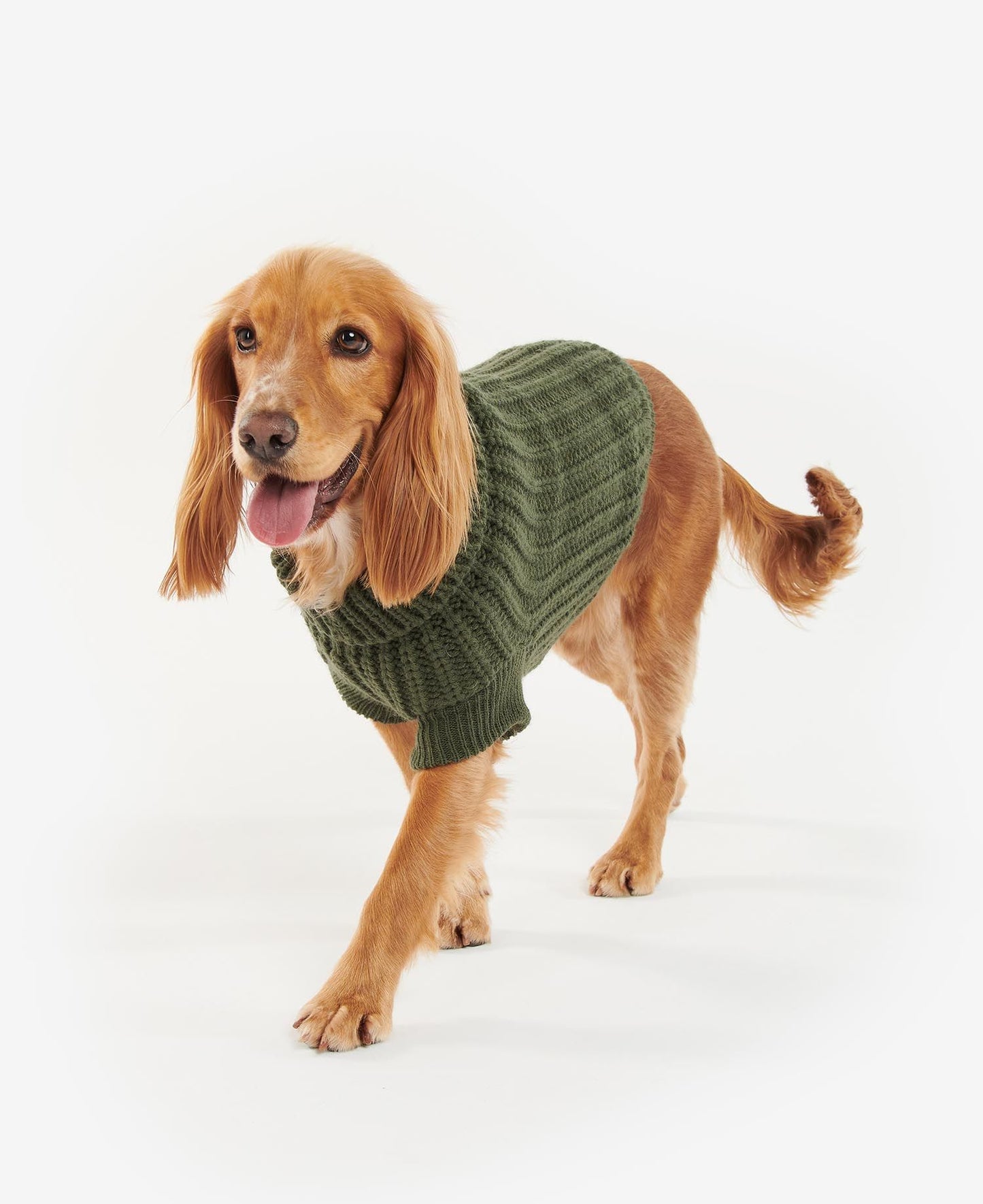 Barbour Pull tricoté Saltburn