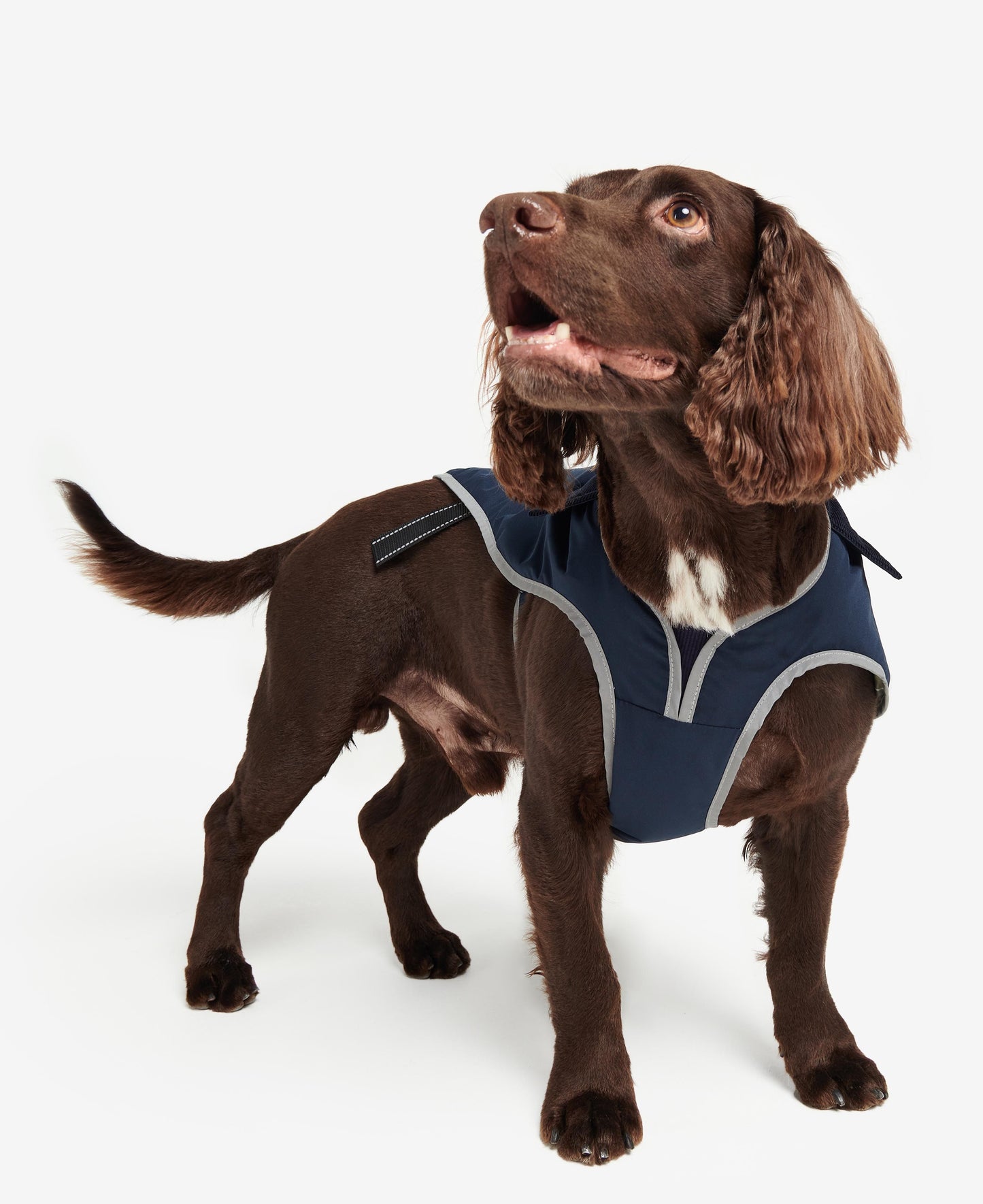 Barbour Manteau Waterproof Monmouth Navy