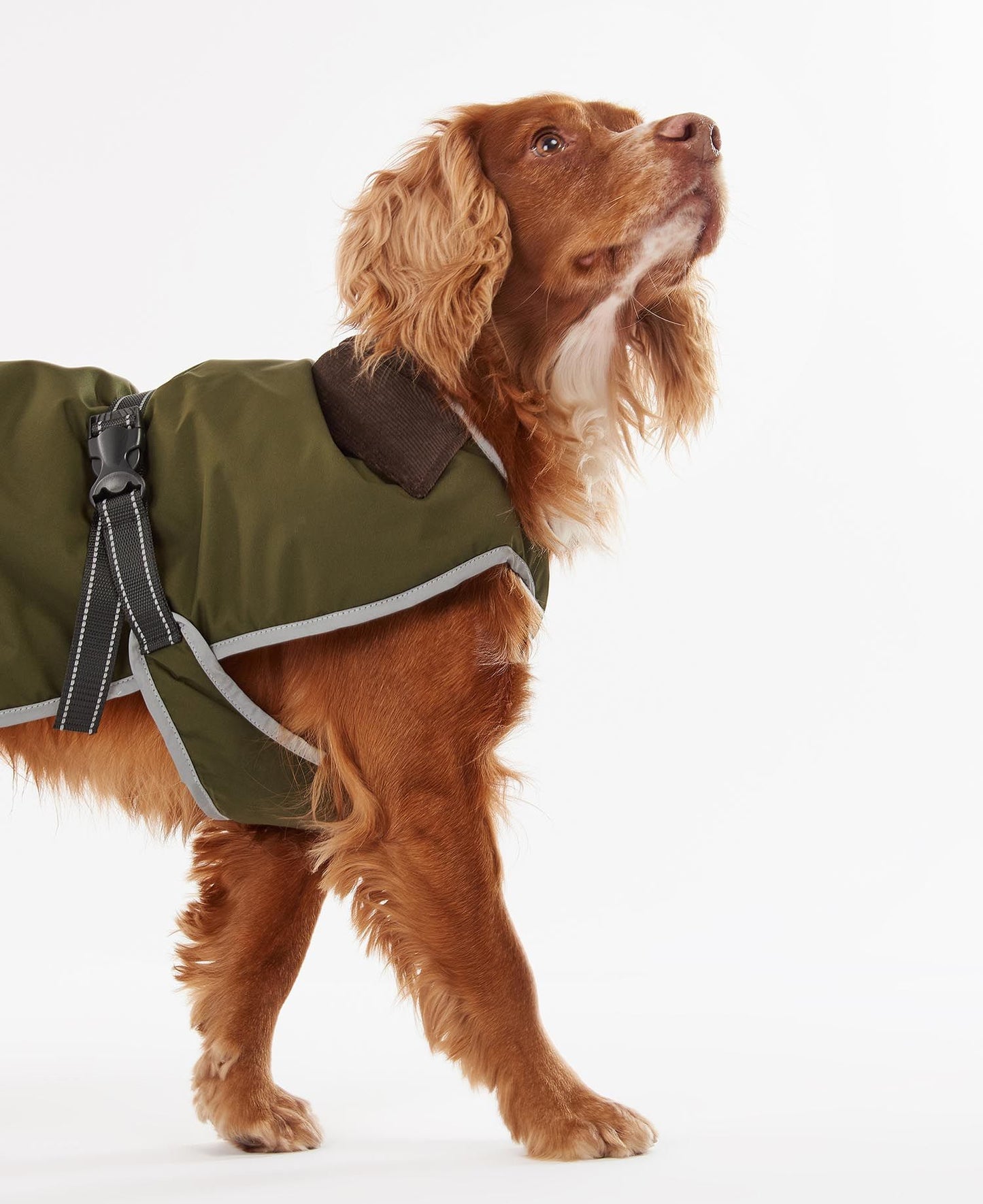 Barbour Manteau Waterproof Monmouth Olive