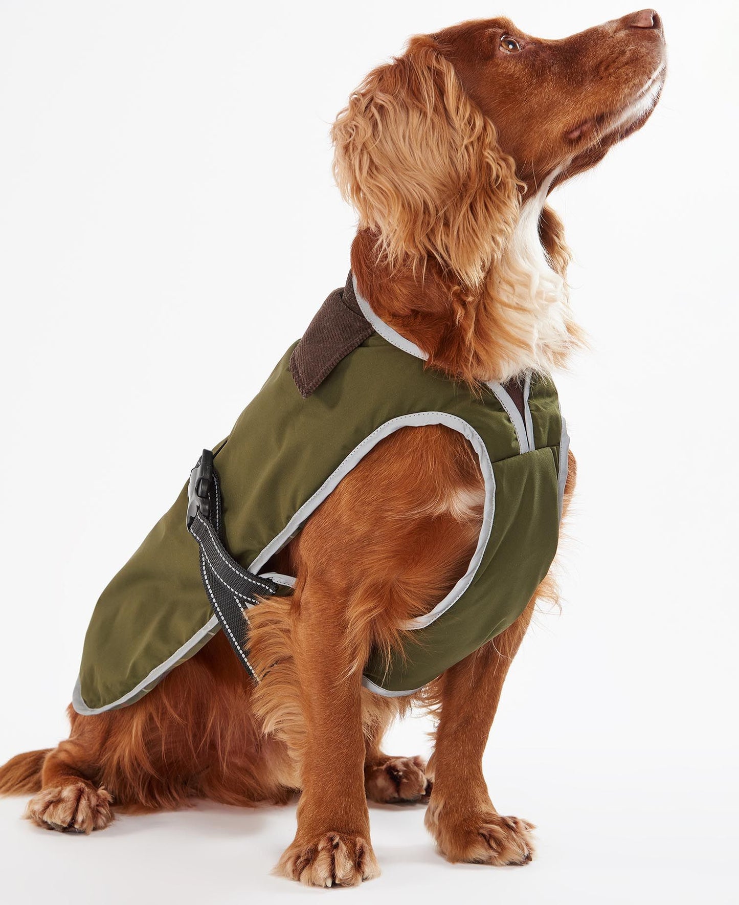 Barbour Manteau Waterproof Monmouth Olive