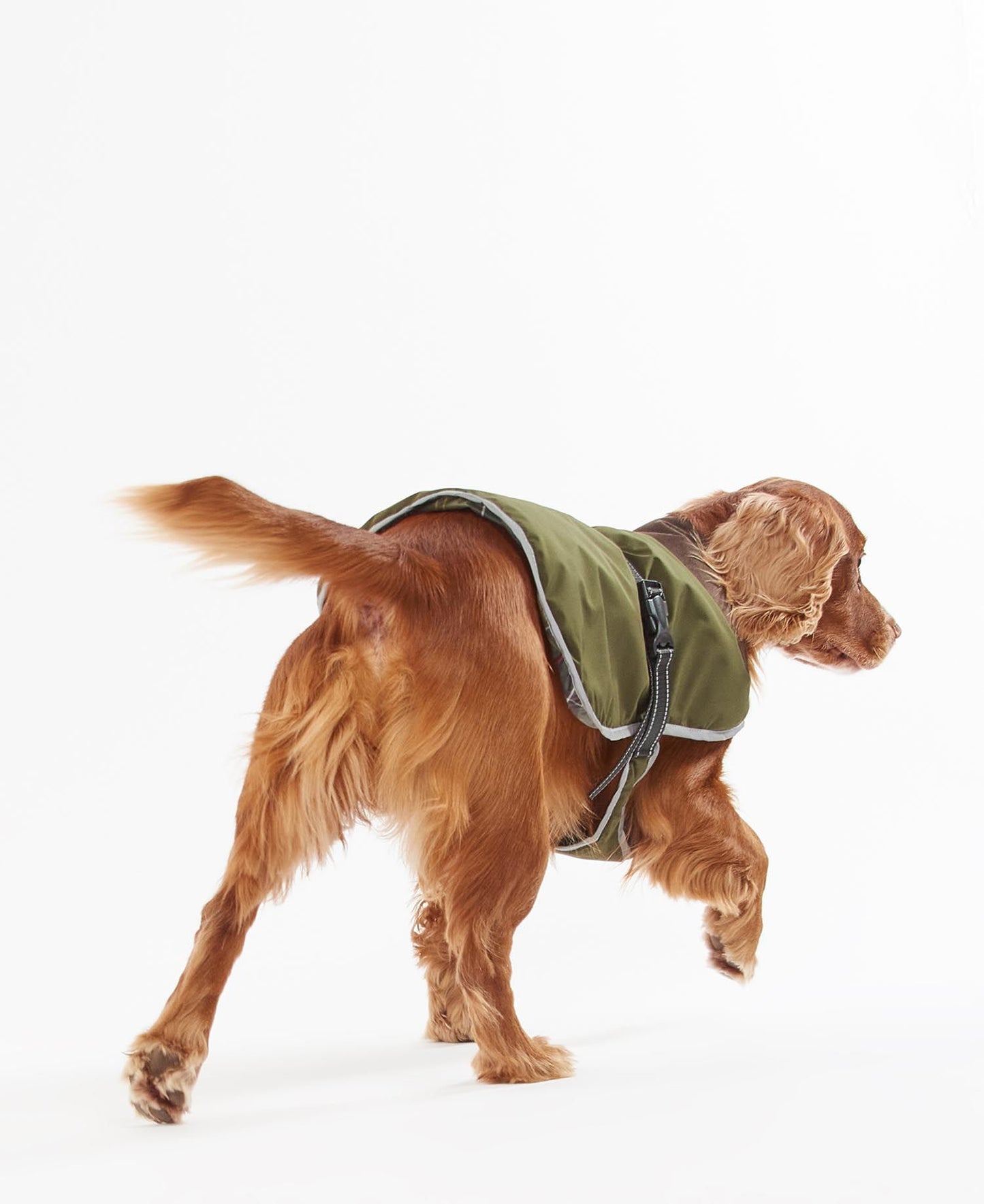 Barbour Manteau Waterproof Monmouth Olive