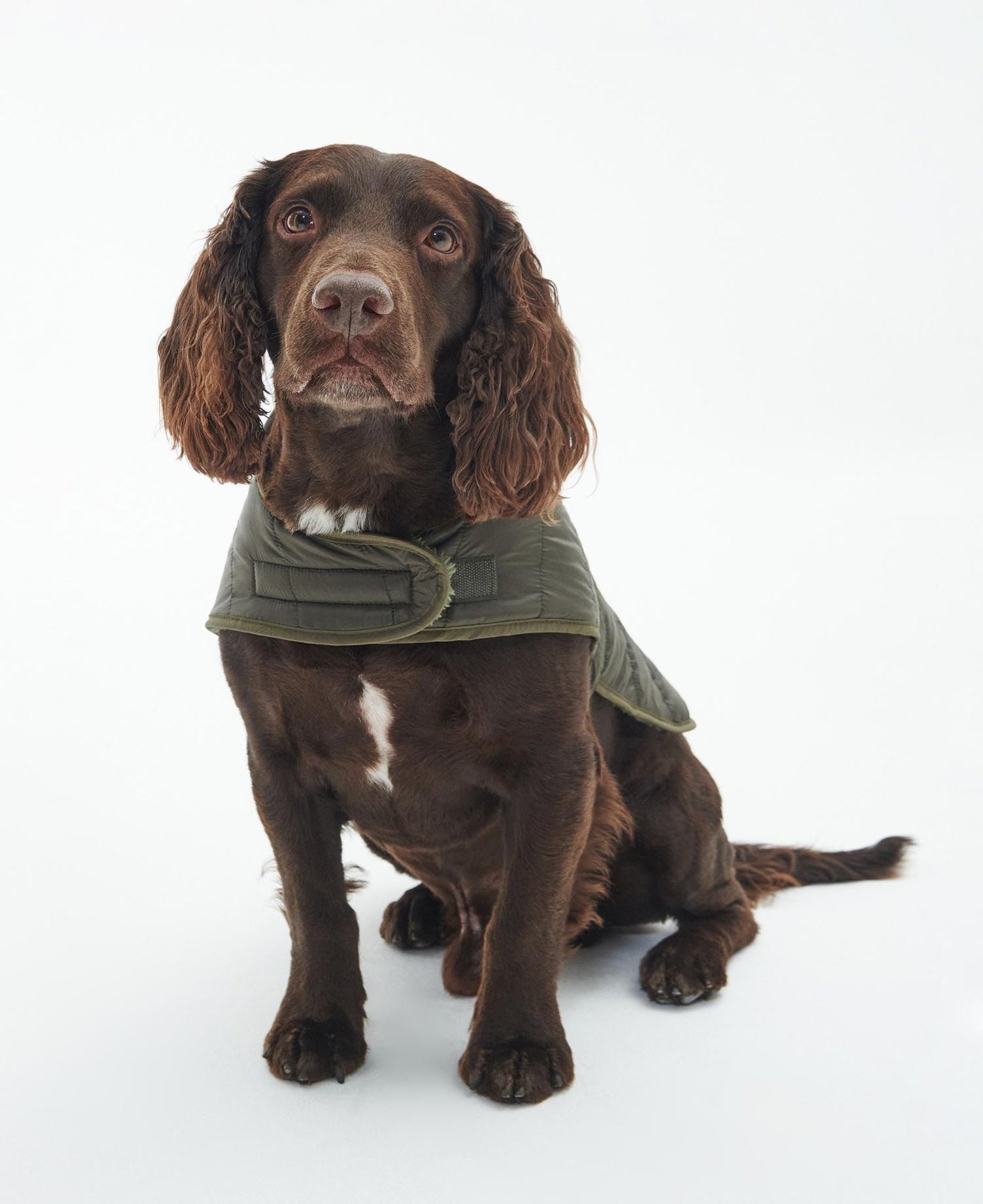 Doudoune Barbour Baffle Quilted Olive