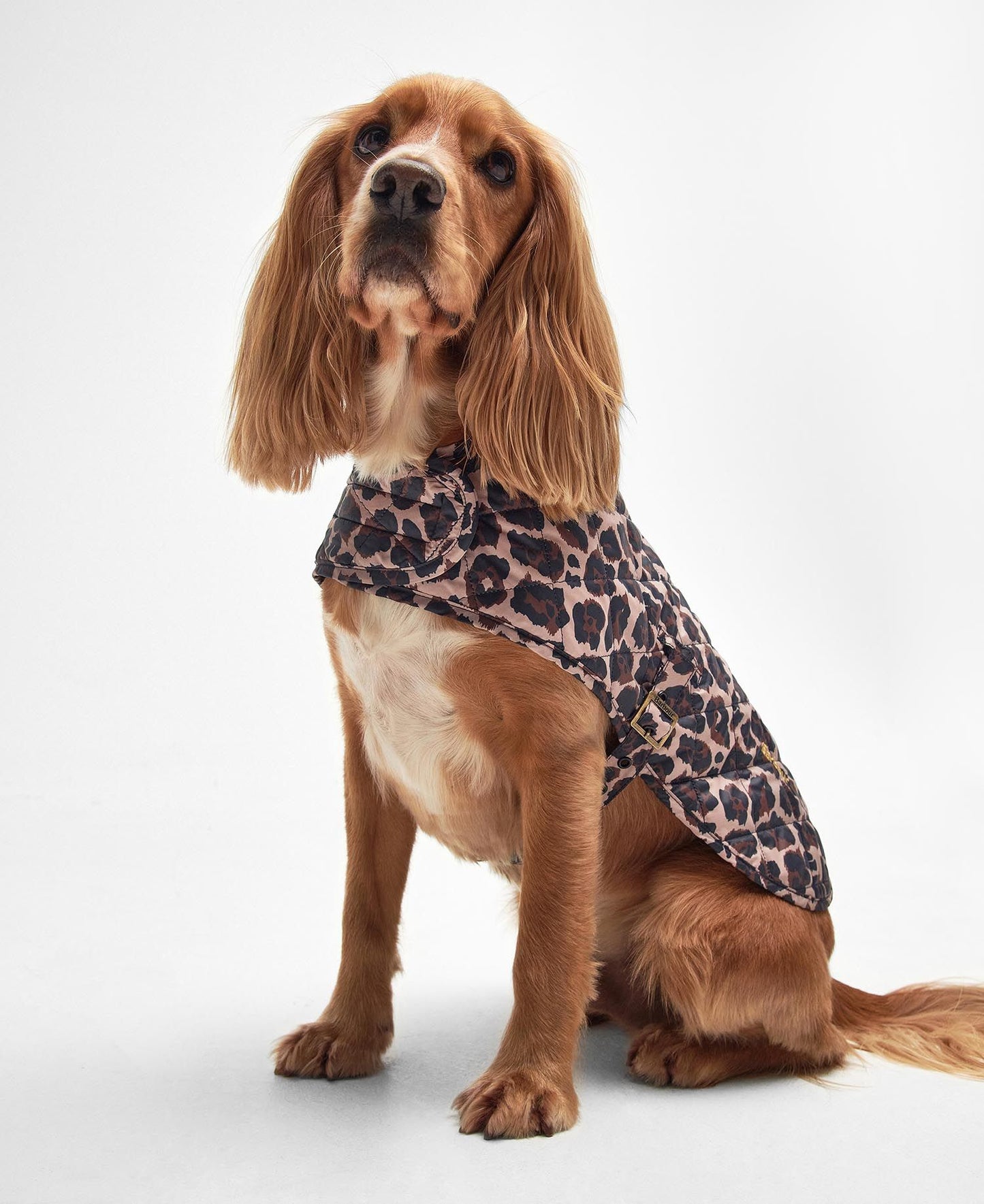 Barbour Manteau Boulevard Quilted Jaguar