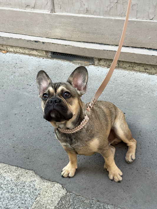 Collier bi-matière Dough