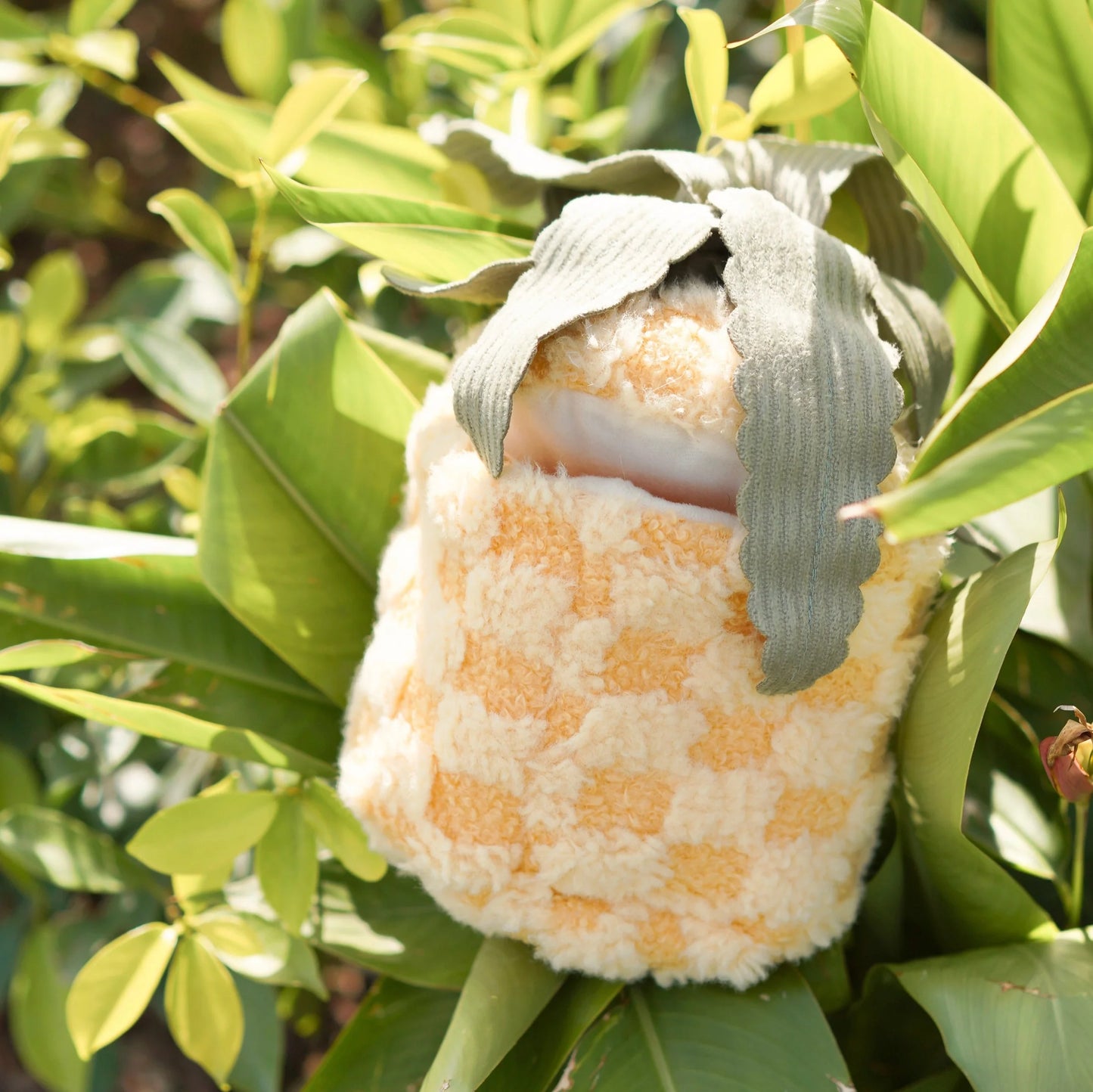 Jouet de fouille Ananas