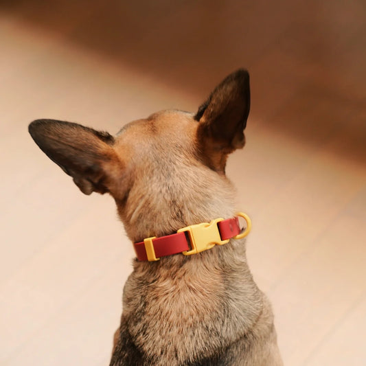 Collier imperméable bordeaux