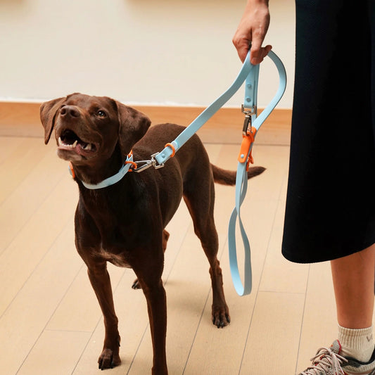 Laisse imperméable baby blue