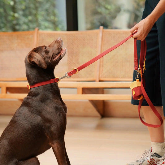 Laisse imperméable bordeaux