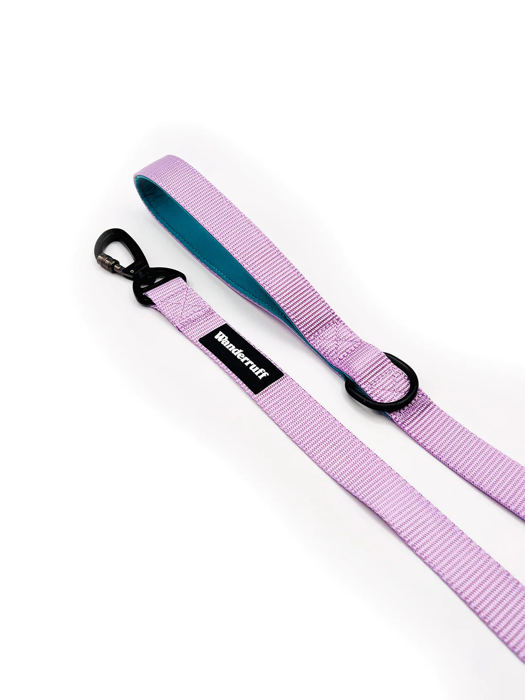 Laisse en sangle Daisy