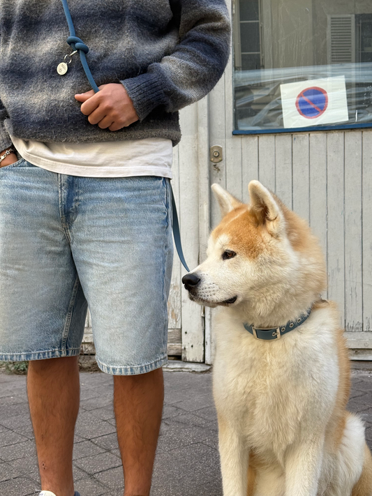 Collier bi-matière Grape Juice