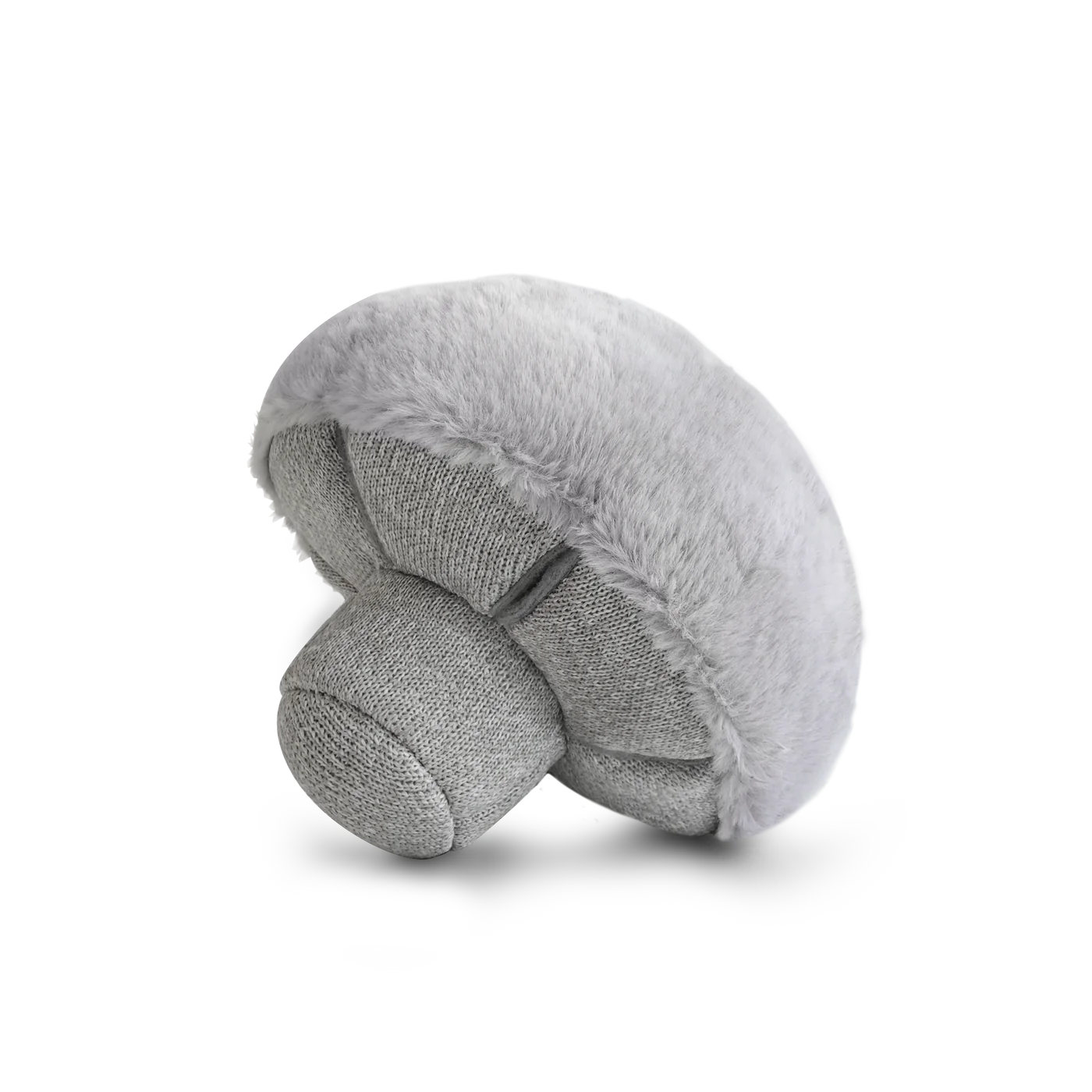Jouet de fouille champignon
