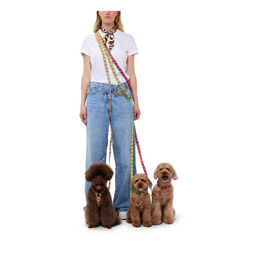 Laisse mains libres Latte Brown