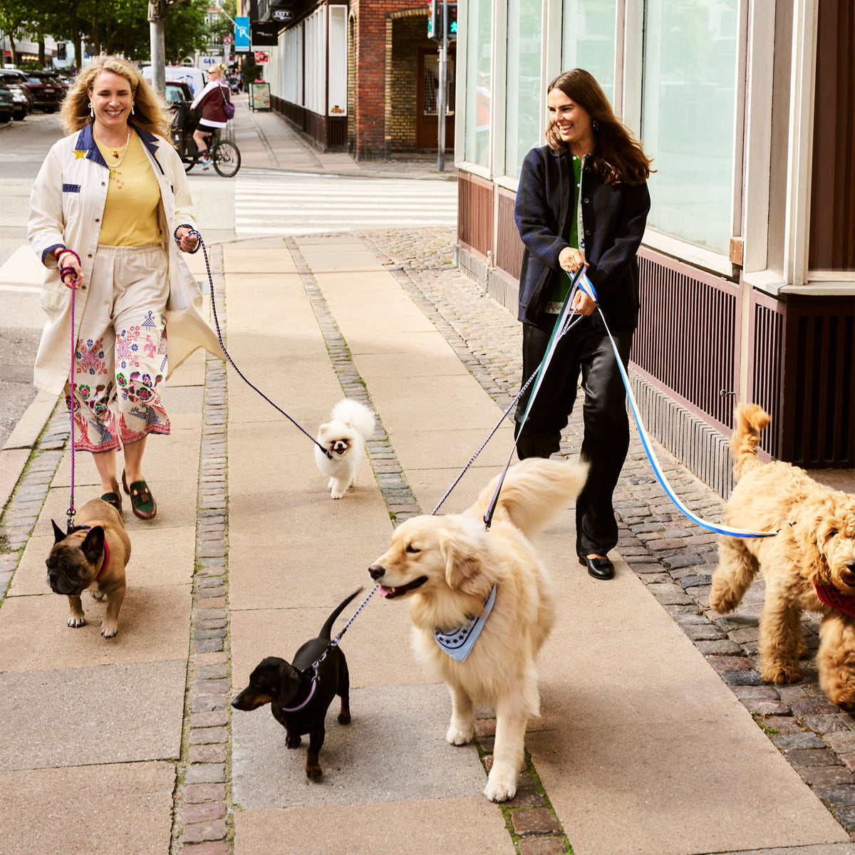 Laisse tressée Lavender/Green HAY