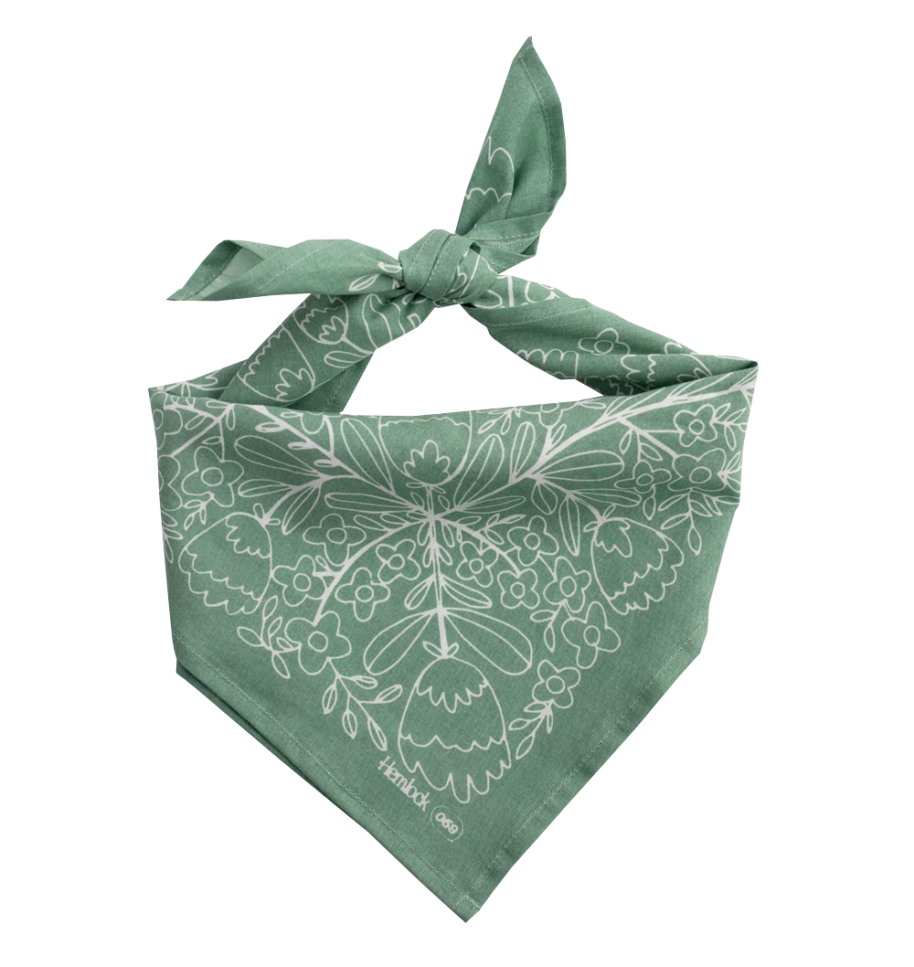 Bandana humain et chien Ivy