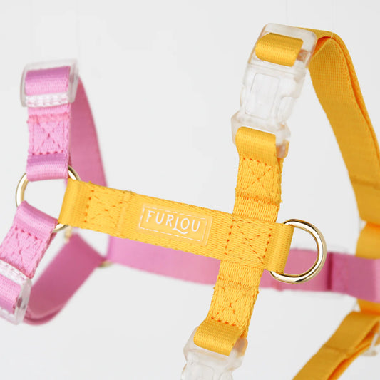 Harnais Yellow+Pink