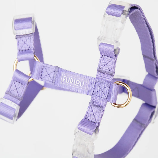 Harnais Lavender
