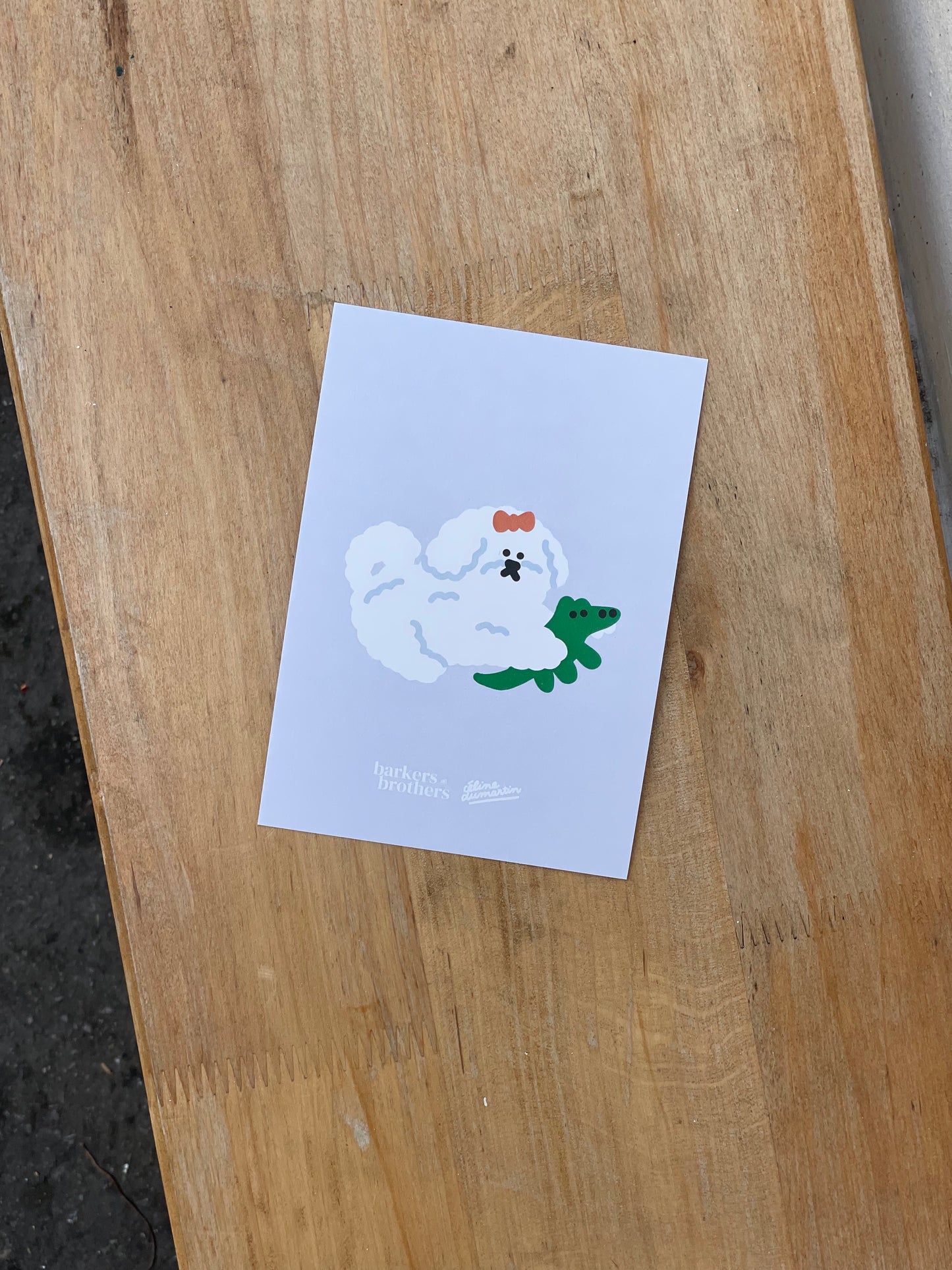 Cartes postales races illustrées