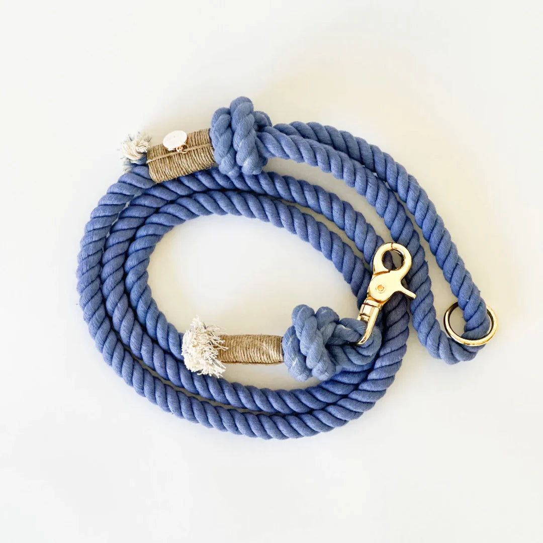 Laisse Periwinkle