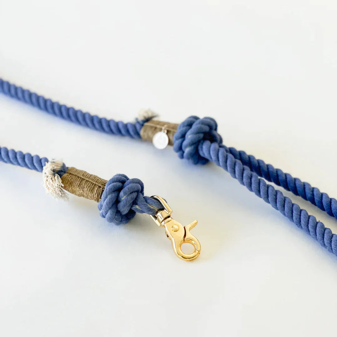 Laisse Periwinkle