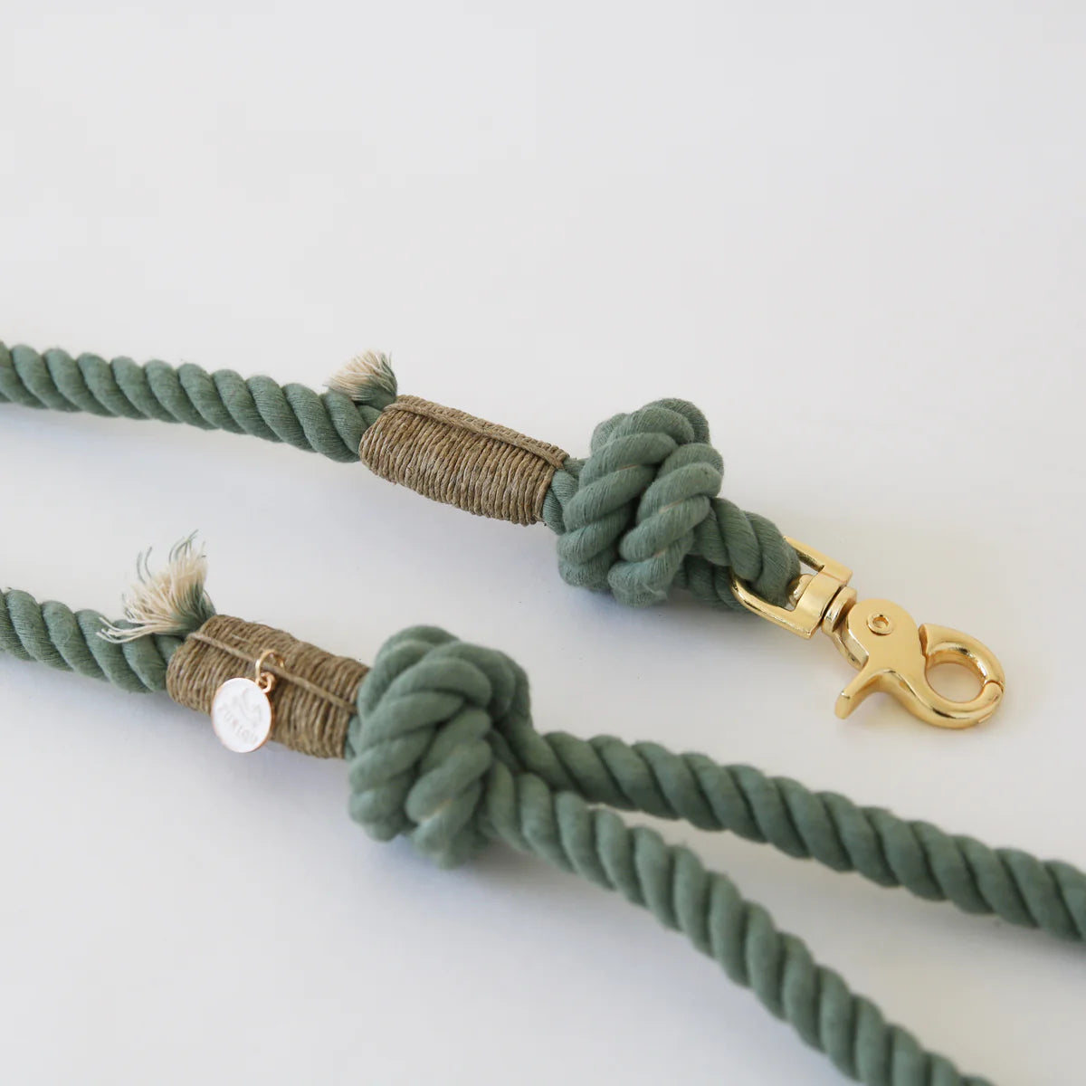 Laisse Desert Sage