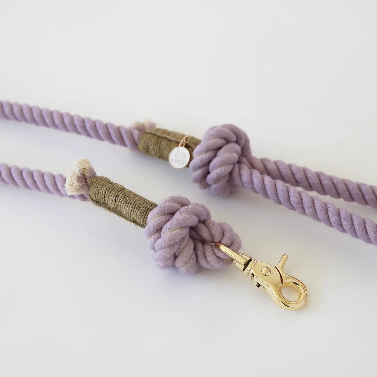 Laisse Lavender Fields