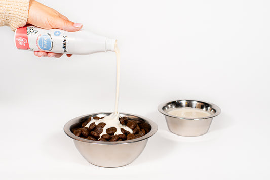 Kéfir pour chien - Carotte et Poire