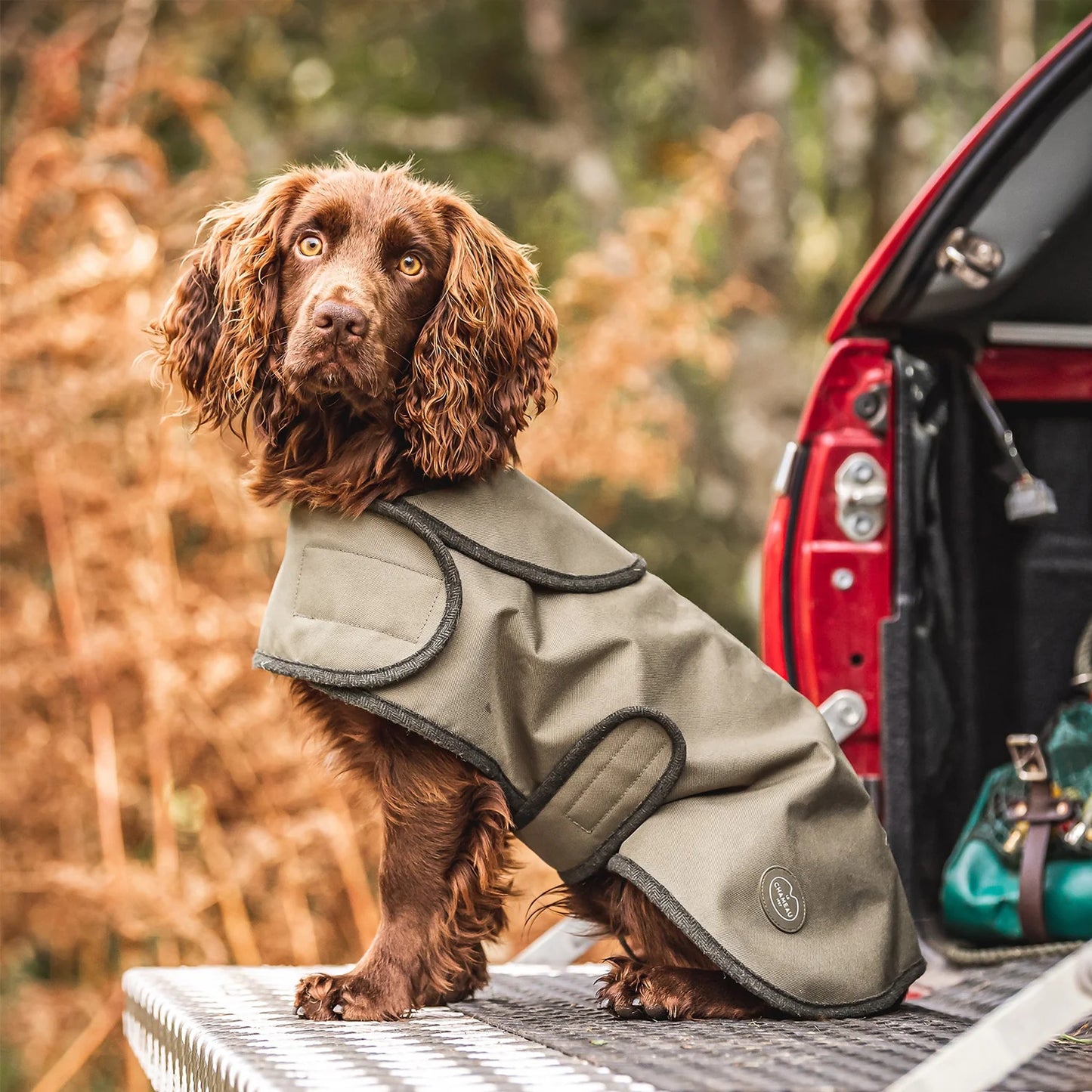 Imperméable pour chien Olive