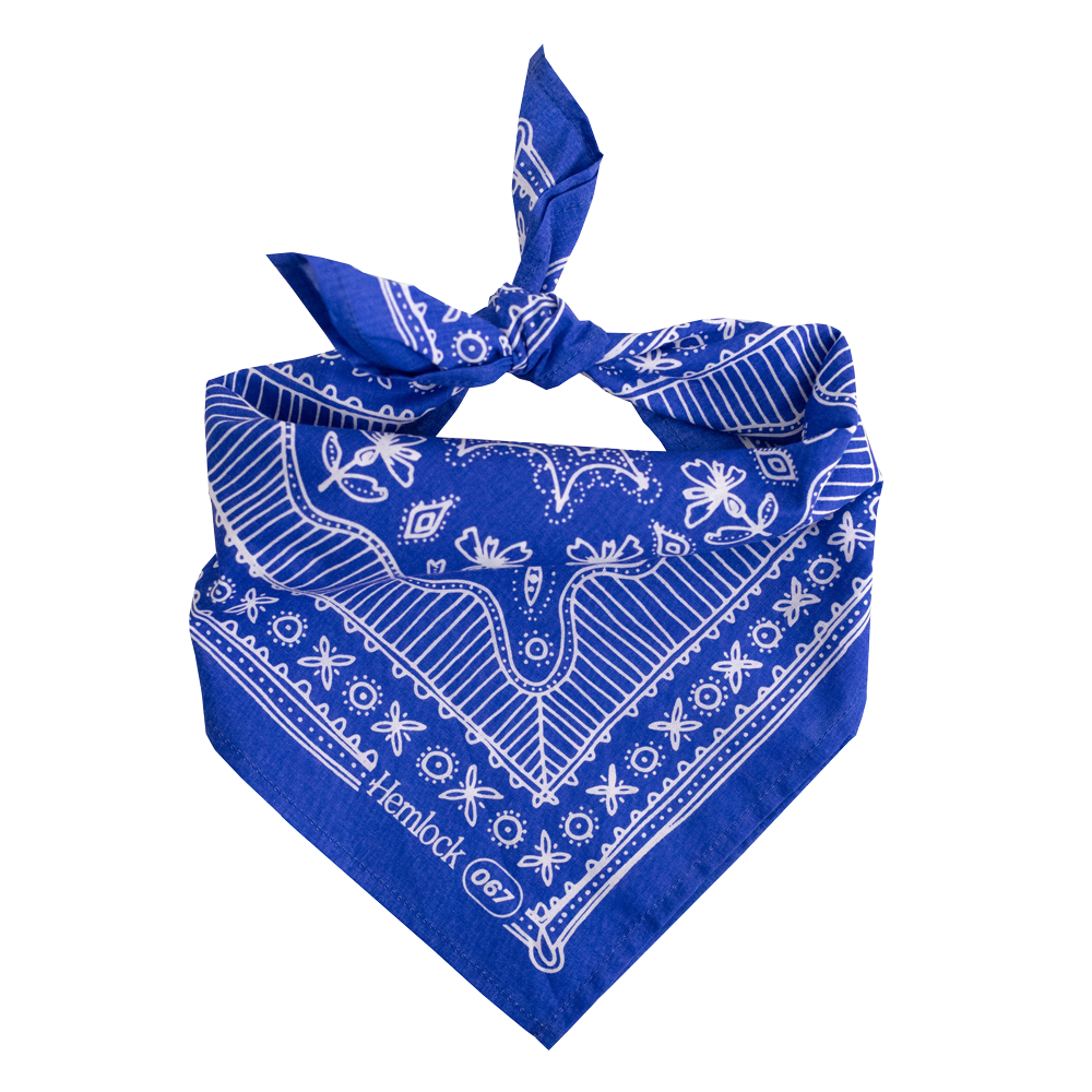 Bandana humain et chien Nyla