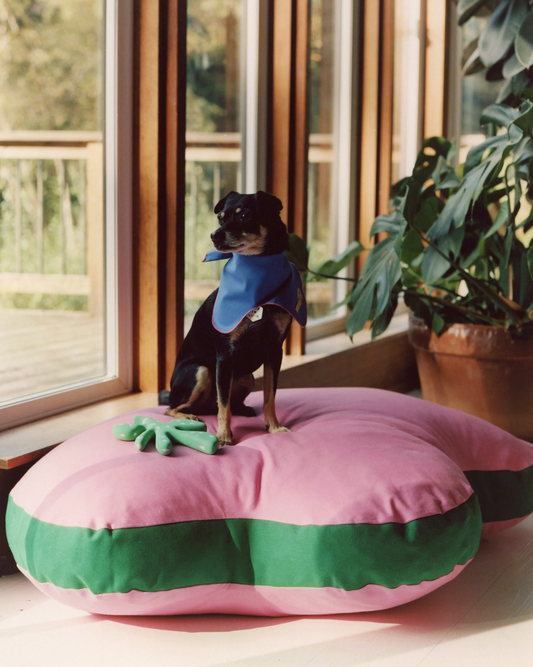 Panier the Pawfect Bed