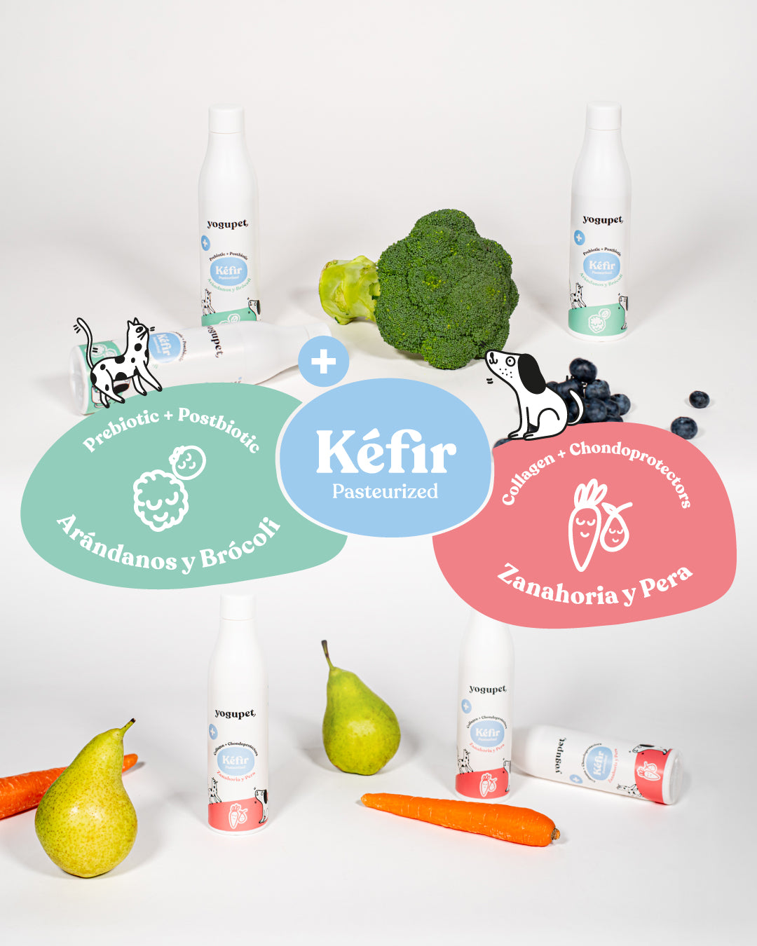 Kéfir pour chien - Carotte et Poire