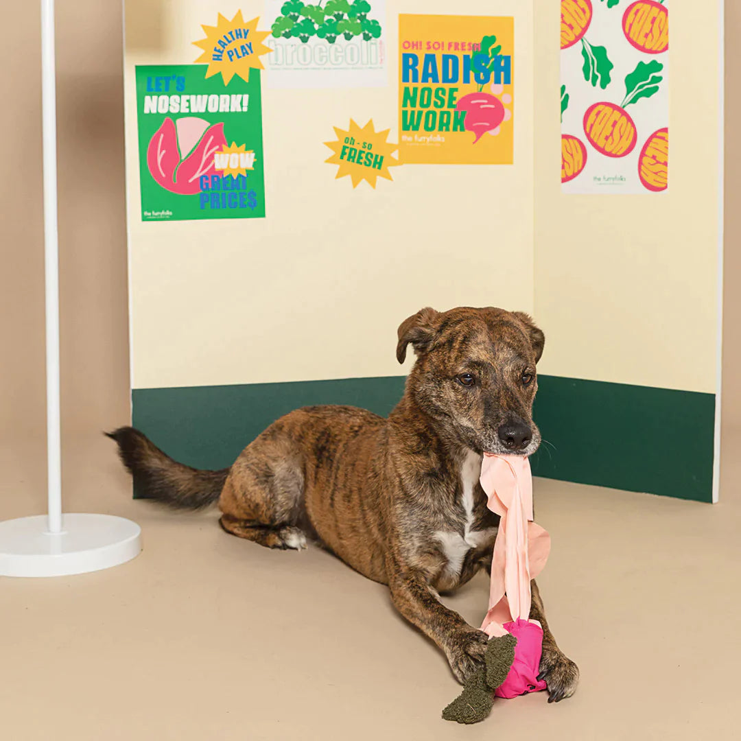 Jouet de fouille radis rose