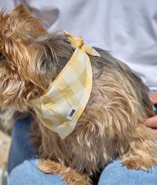 Bandana Nata Jaune