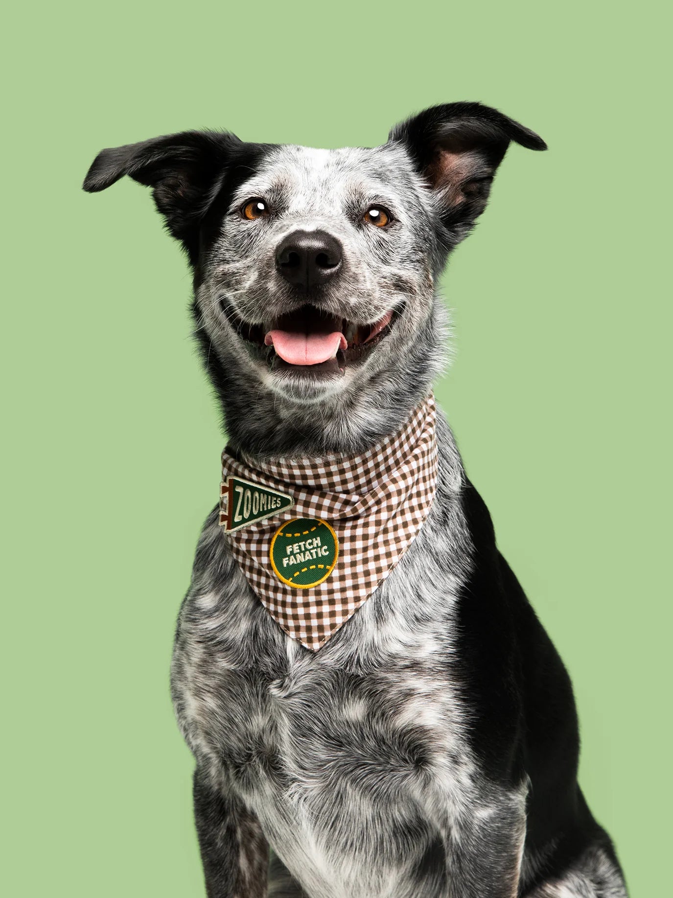 Badge "Fetch Fanatic"